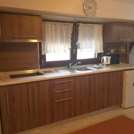 Androniki's House 公寓 锡基亚